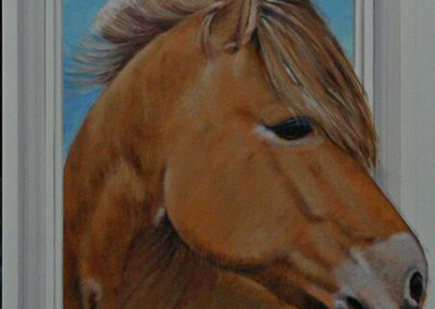 Paardenportretten
